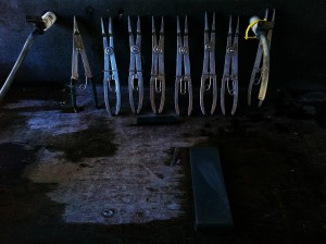 The seeding shed tools