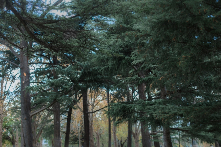 050-PhotographyWithCassie