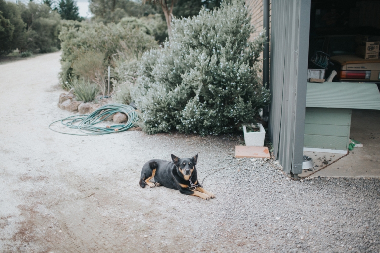 020-byronbayweddingphotographer_jonaspeterson